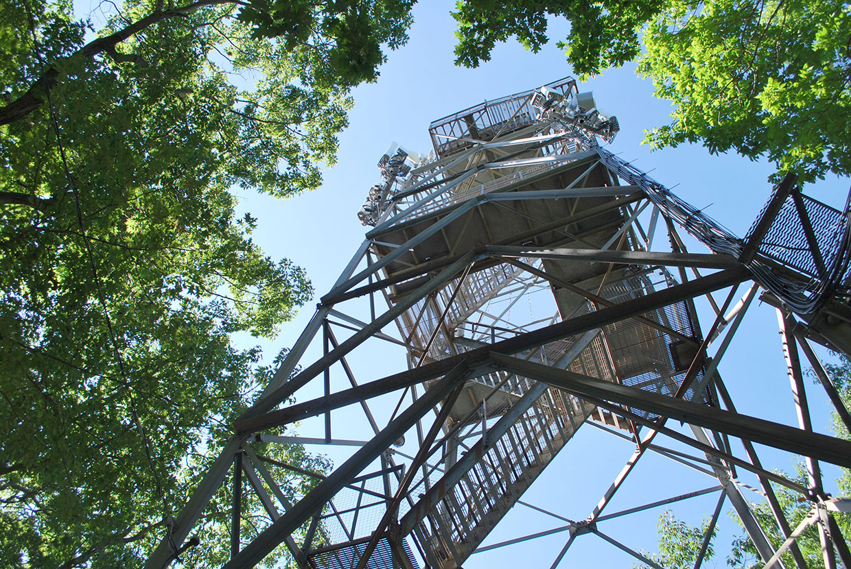 Image shows the Dorset Scenic Lookout Tower. 