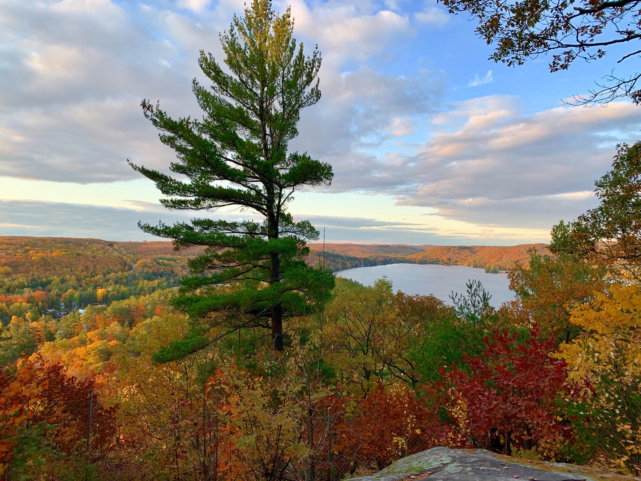 Image shows a vista with fall foliage.
