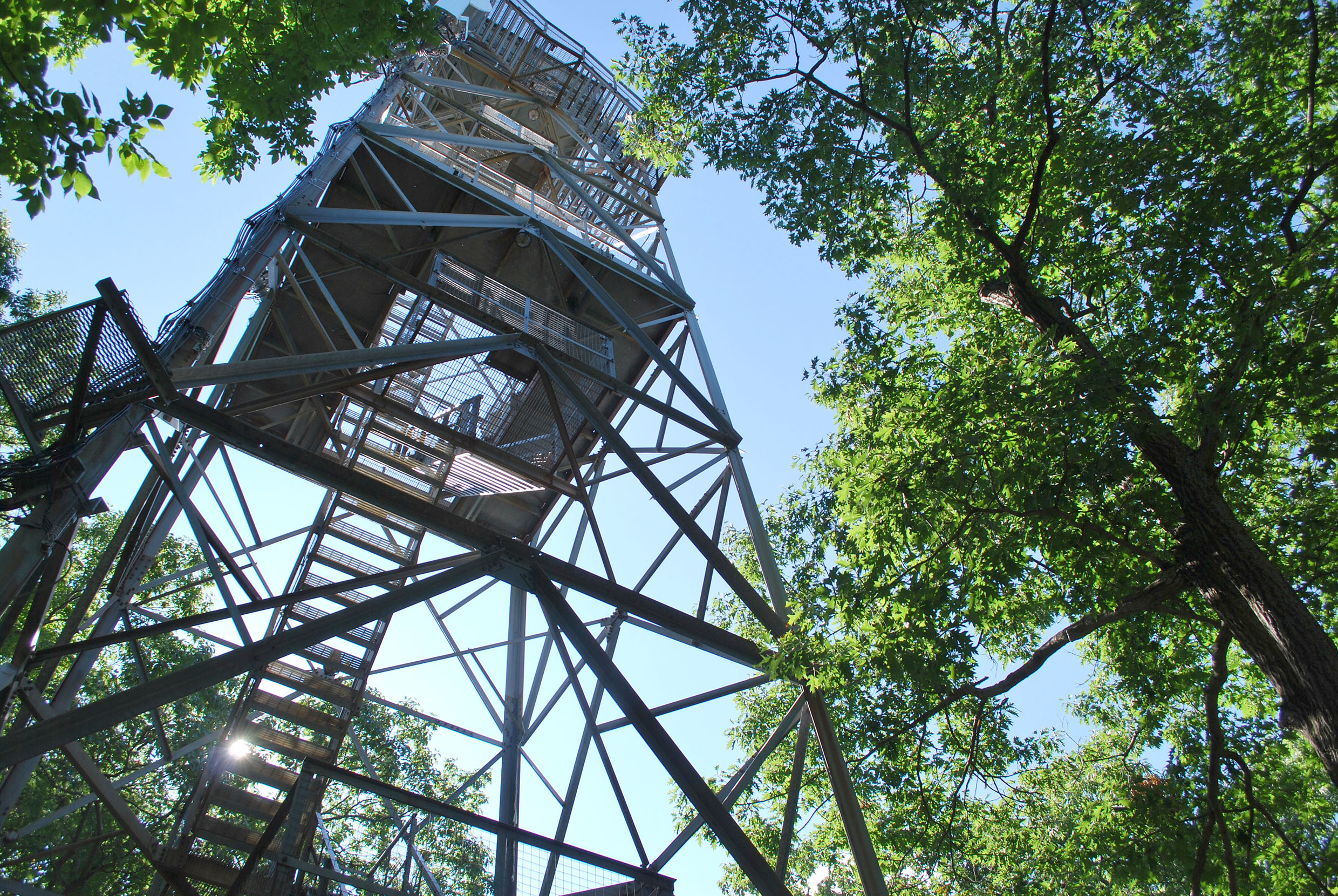 Image shows the Dorset Scenic Lookout Tower.