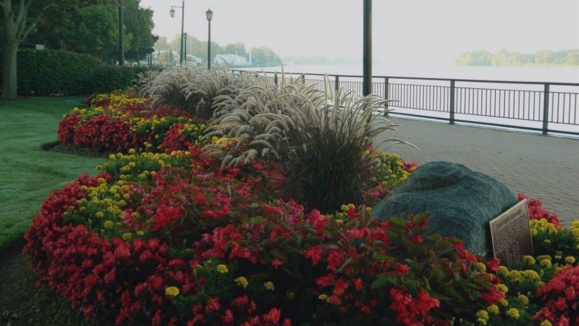 Red flowers and grasses in a King's Navy Yard Park garden overlooking the Detroit River 