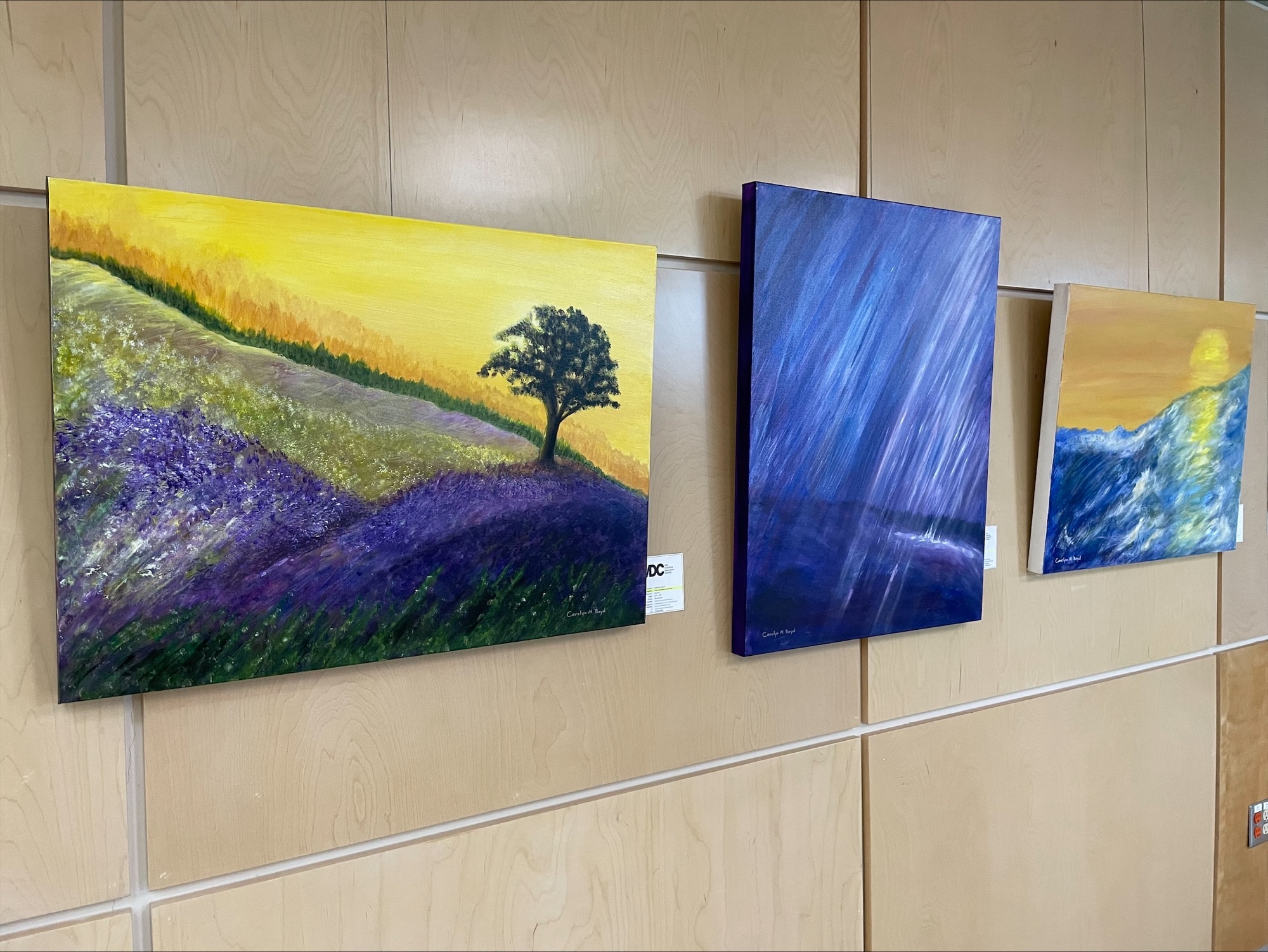 Paintings on wall