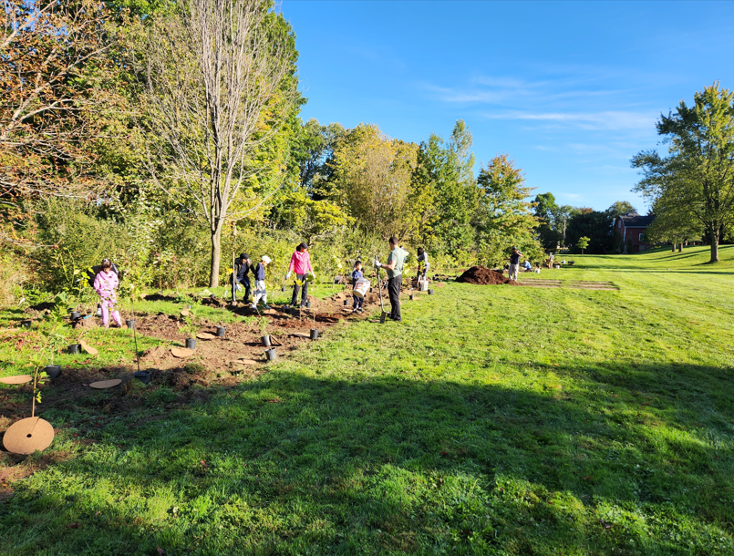 Centennial Park Tree Planting circa 2024