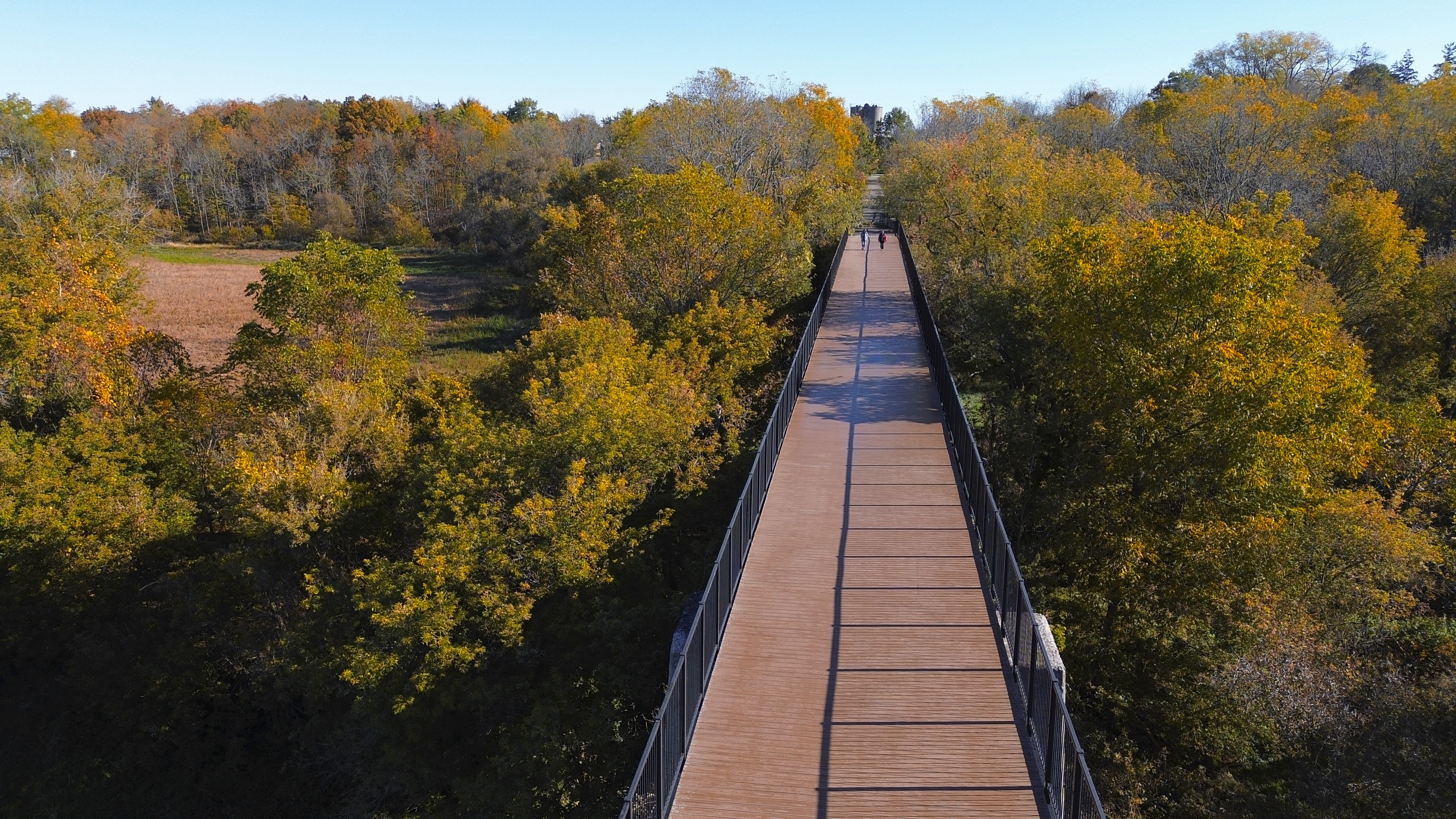Ariel view of a bridge and fall coloured trees