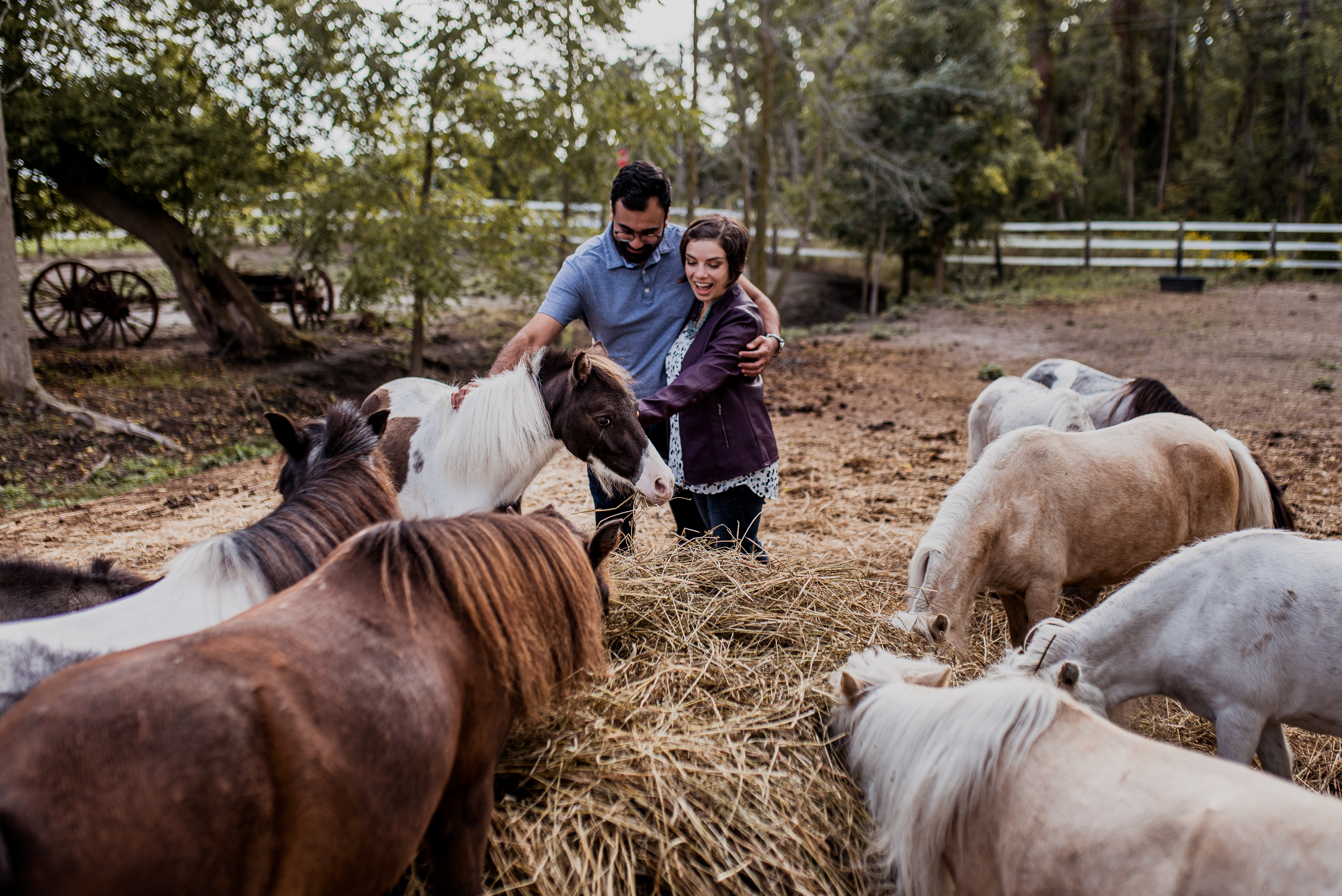A man with his arm around a woman leans in to pet a miniture horse