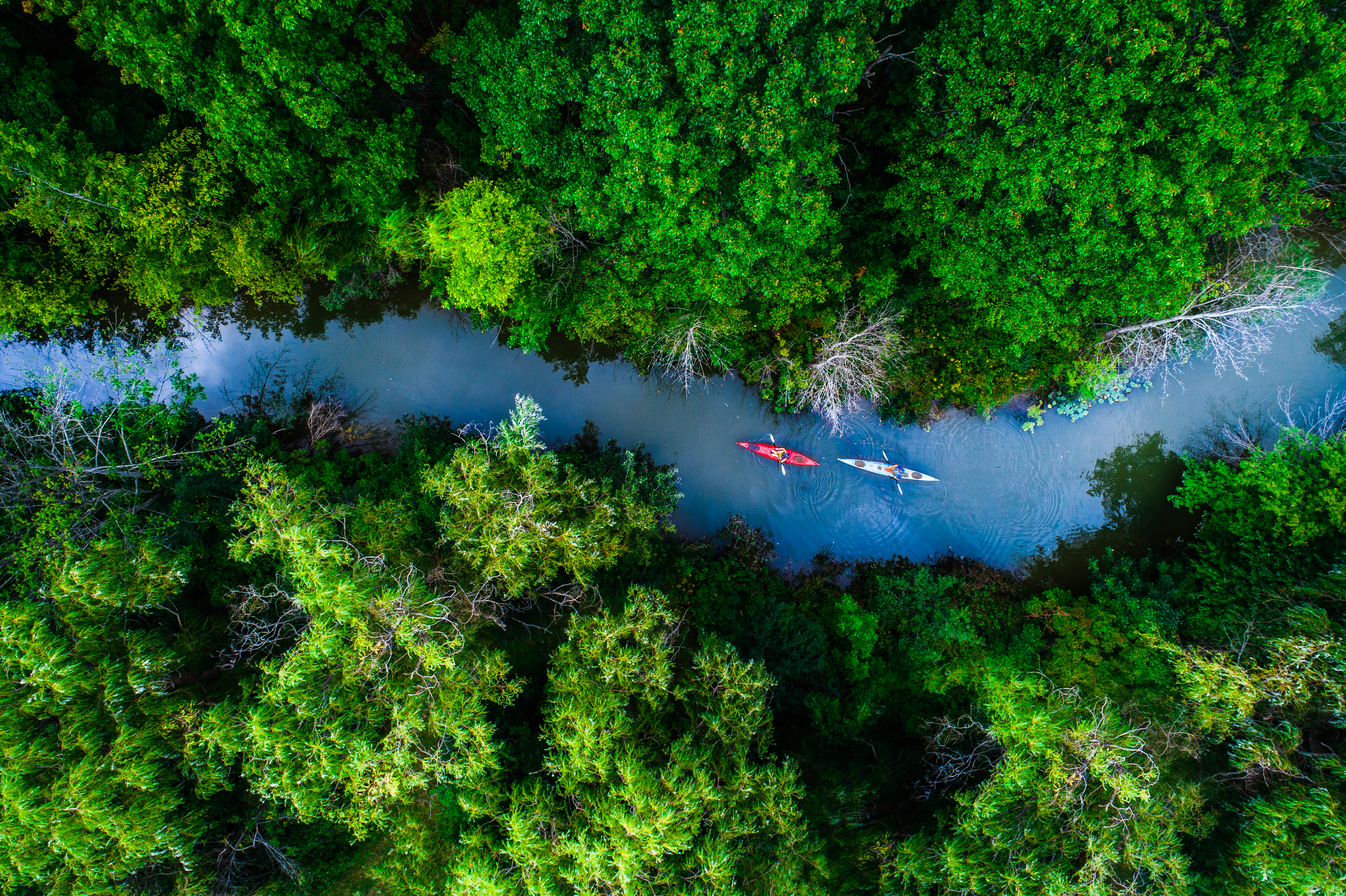 2 kayaks paddling down the river in between forests