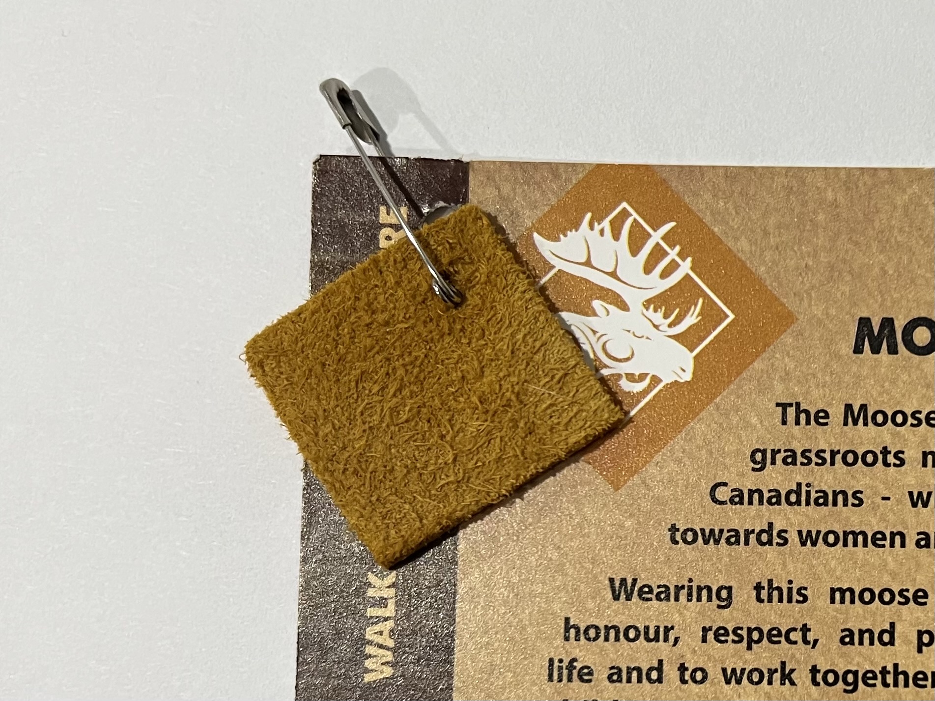 A square of moose hide pinned to an information sheet