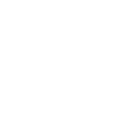 Single tier municipality icon