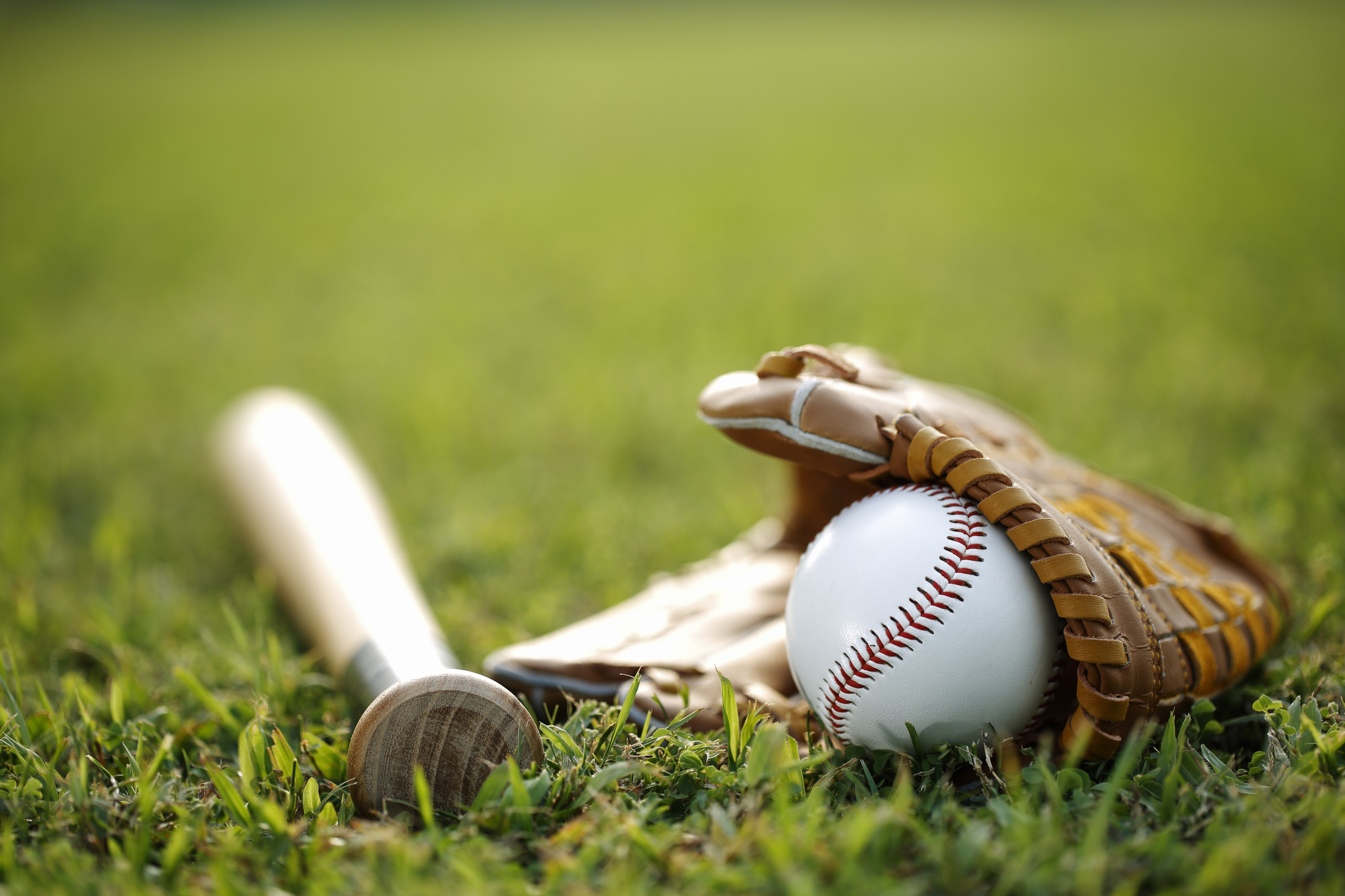 Baseball and bat in a field