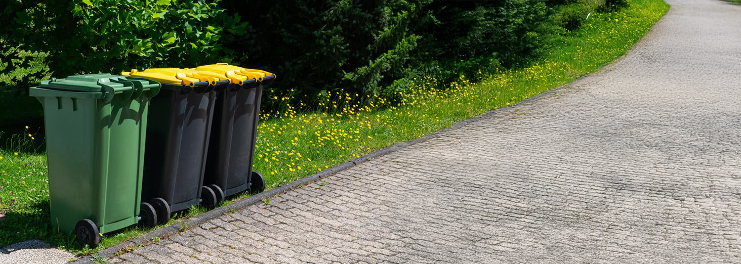 Example of organic and garbage carts. Not the carts that will be used in Norfolk County.