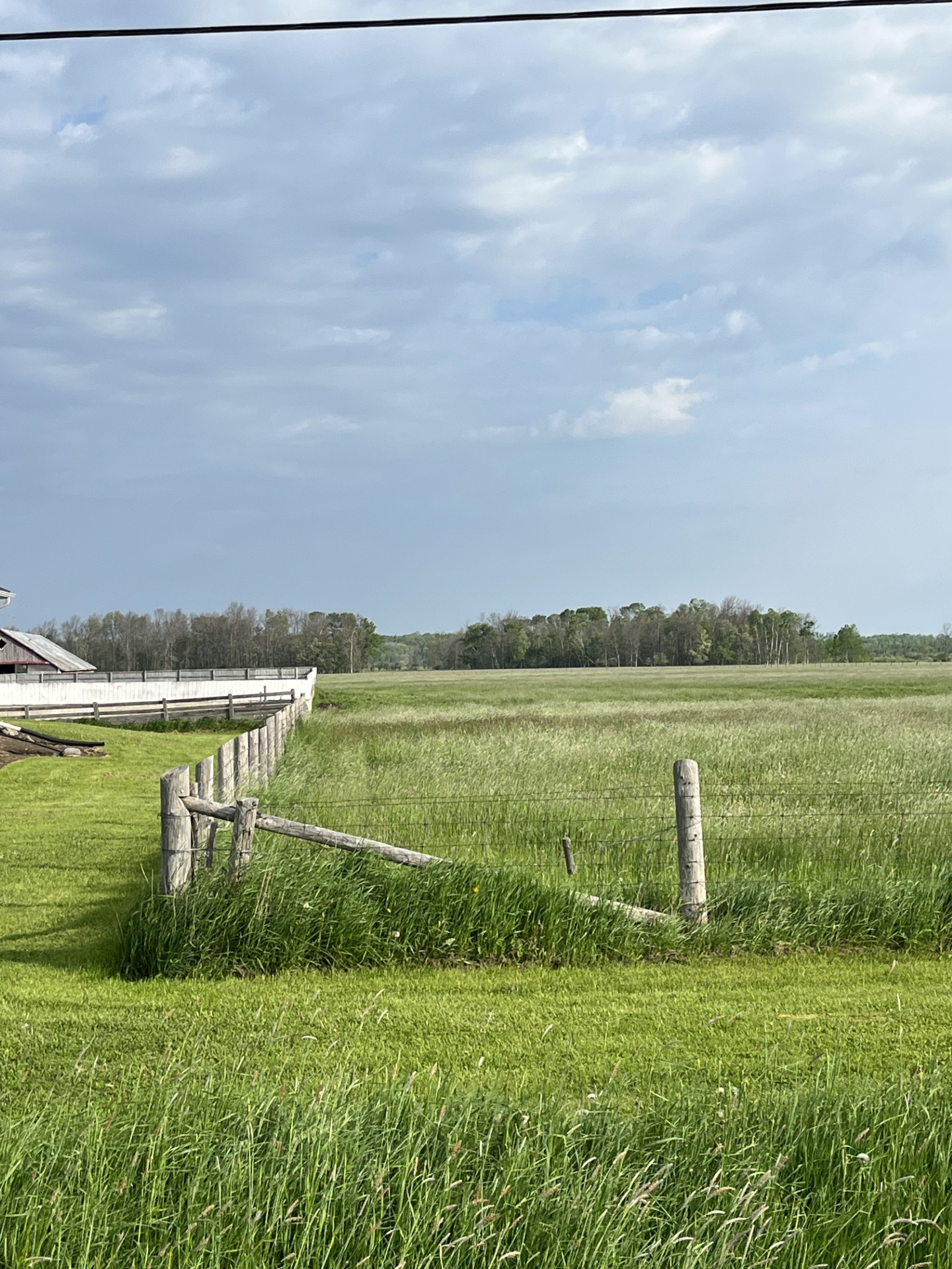 Picture of a field with a page wire fence outlining the perimeter.