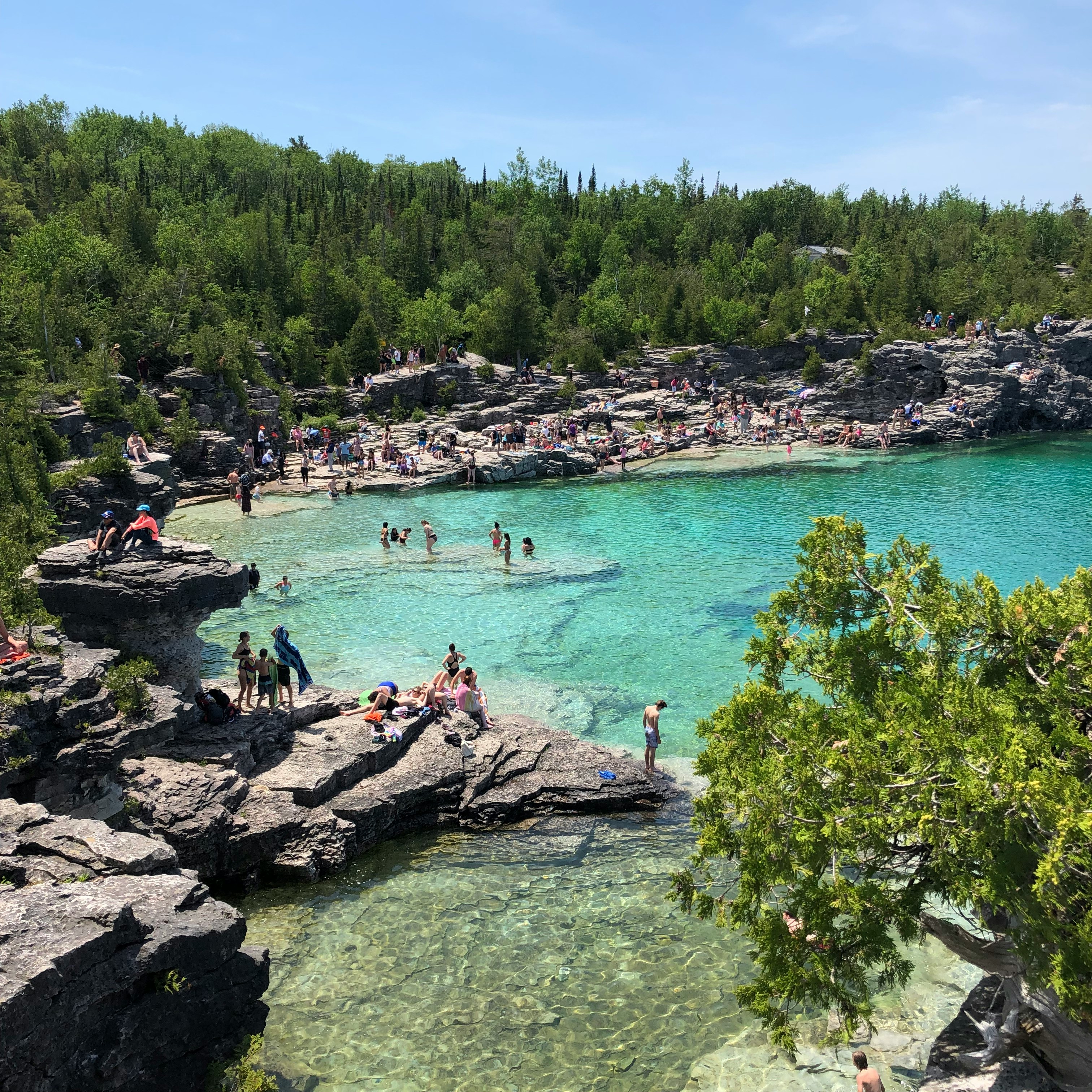 People swimming, sunbathing, and sitting on rocky ledges around a clear turquoise grotto surrounded by trees.