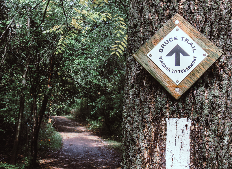 Photograph of a Bruce Trail Marker