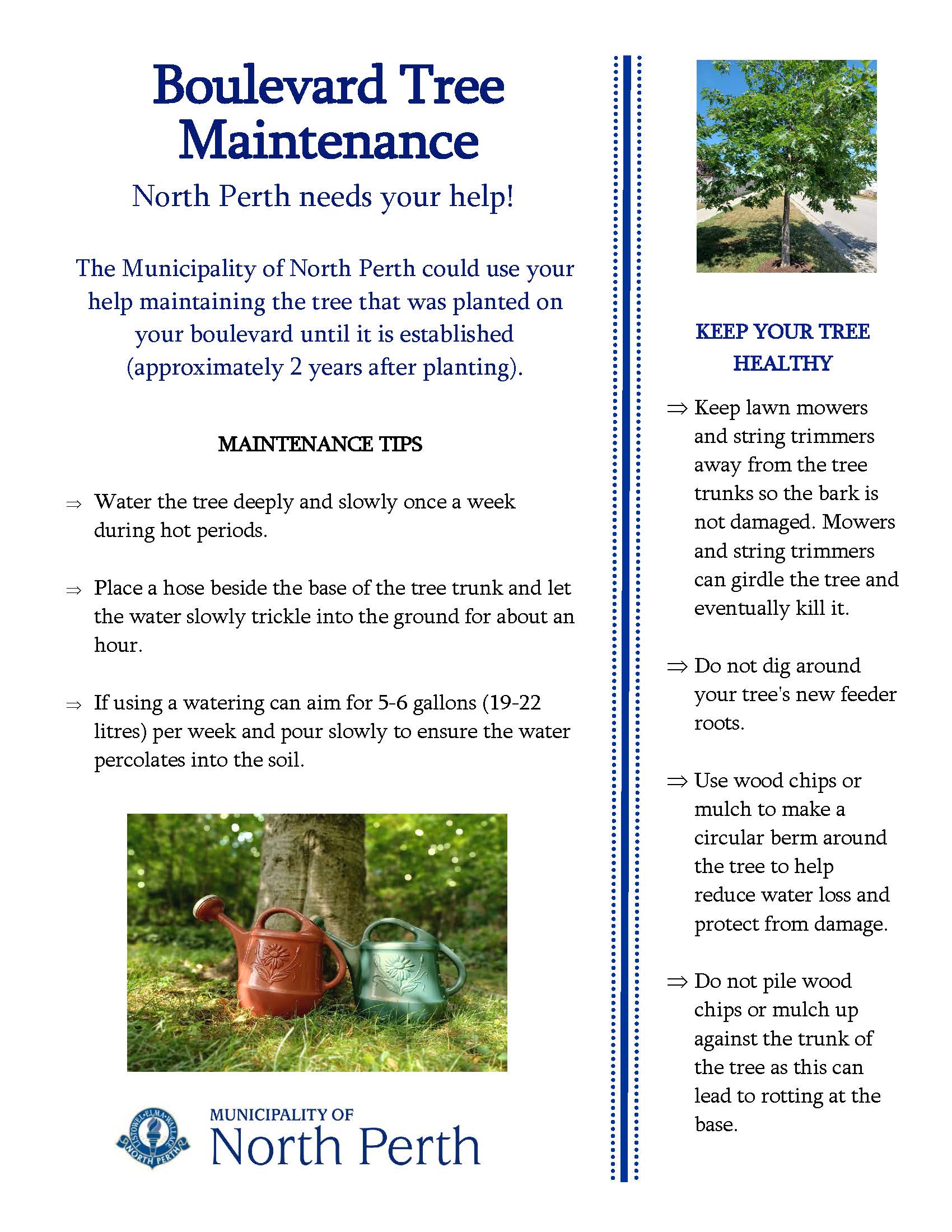 Tree Information
