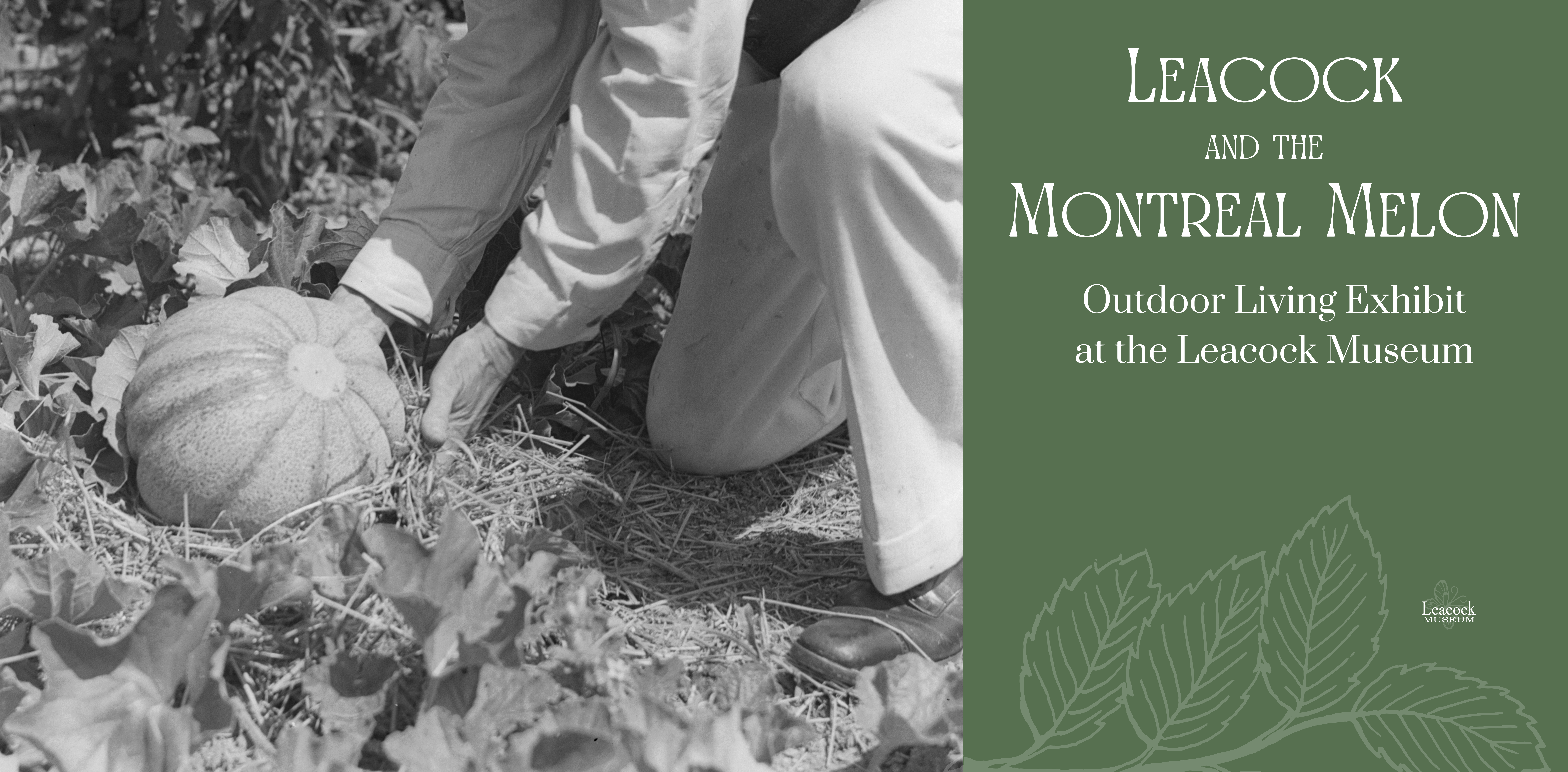 Leacock and the Montreal Melon Exhibit Banner