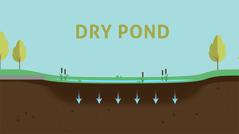Cartoon Graphic of a Dry Pond