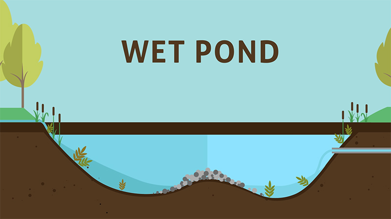 Cartoon graphic of a wet pond