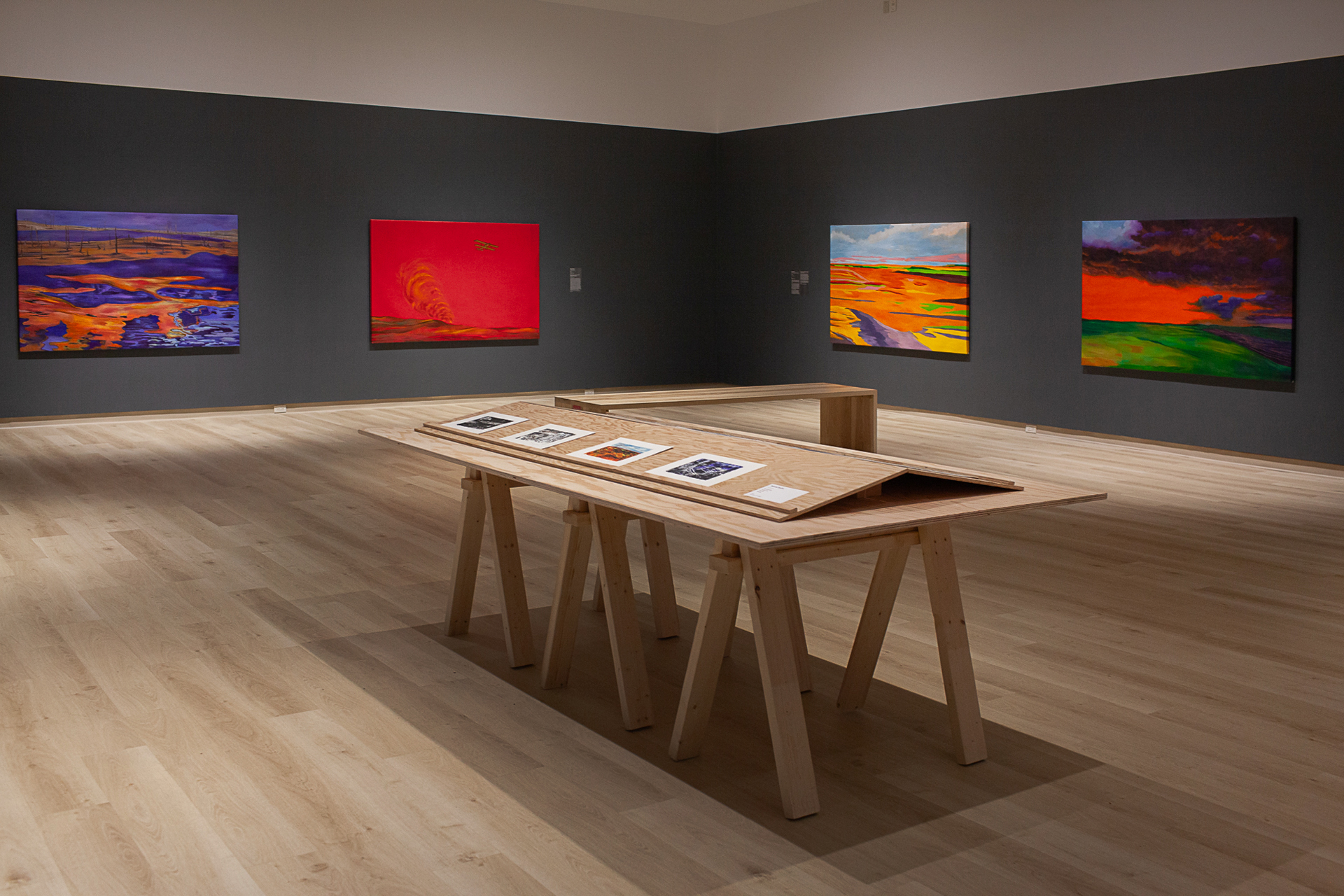 Installation view of Bonnie Devine: Land in War. Photo credit: Becky Comber.