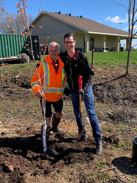 Tree planters