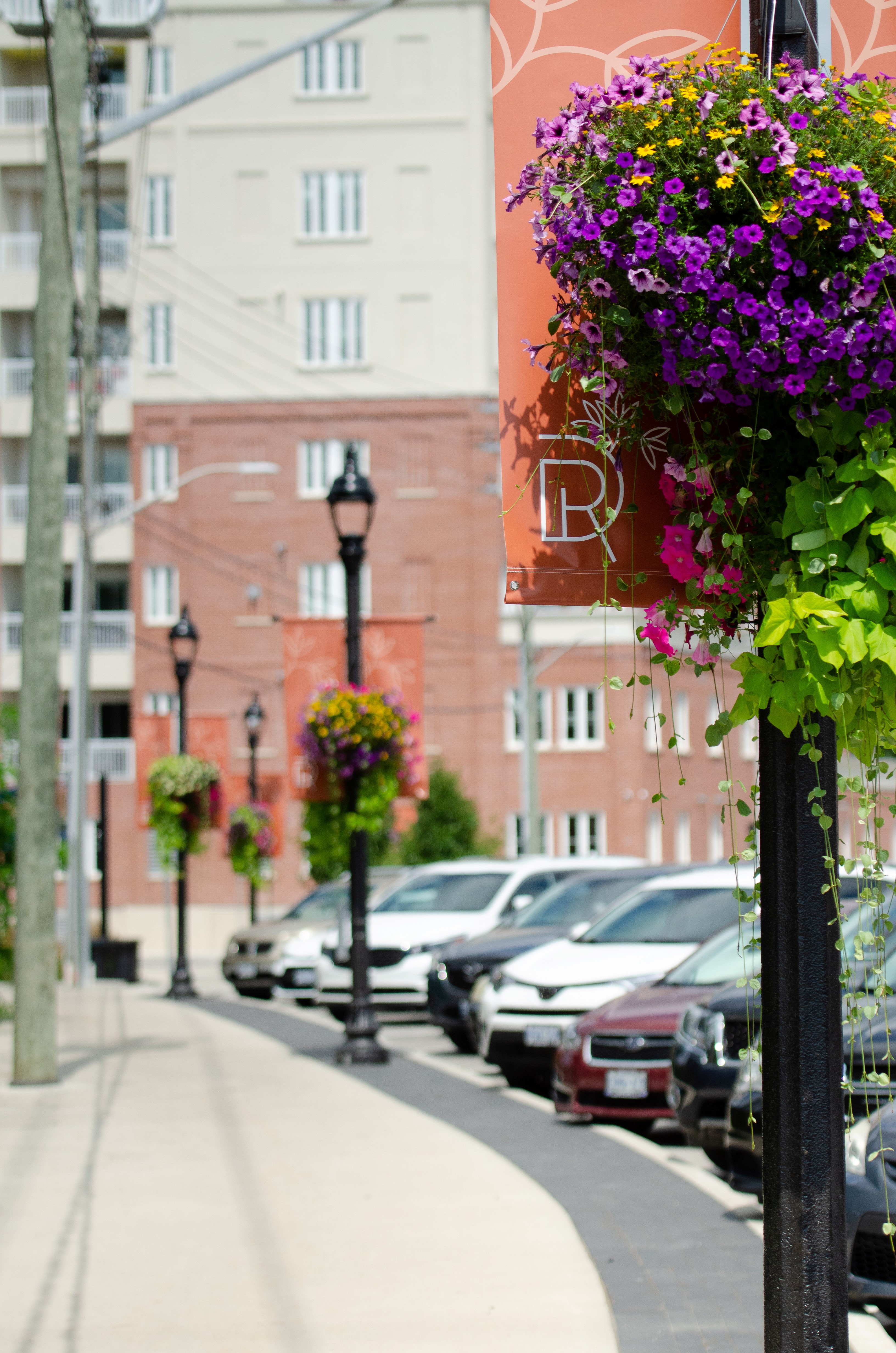 River District banner and flower basket hanging on lamp post beside street