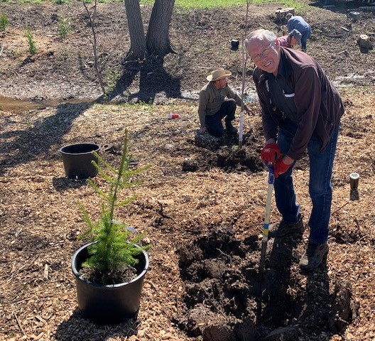 Tree planting