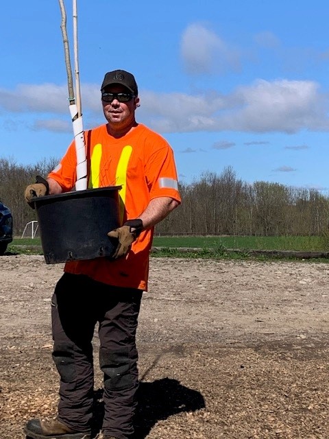 Arborist