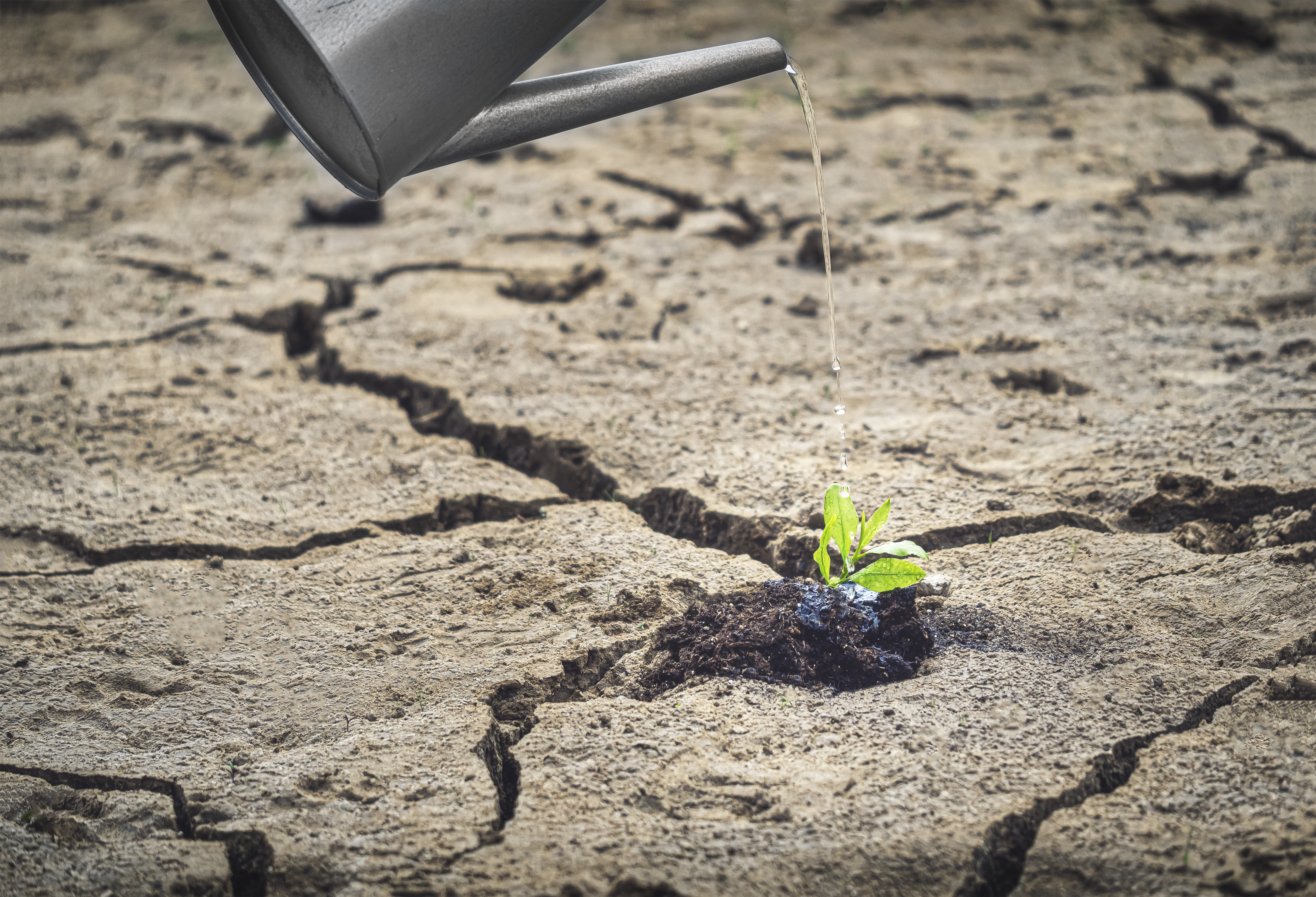 Image of Drought
