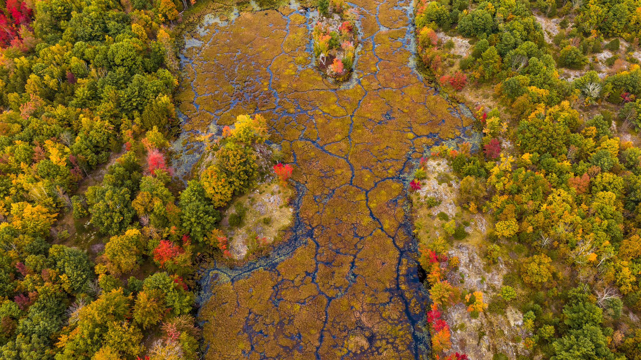fall colours at elbow lake education centre